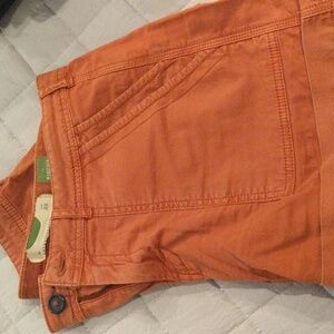 The wanderer by Anthropology shorts size small